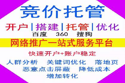 某电商平台的SEM推广实战经验